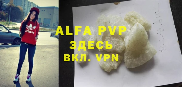молекула духа Арсеньев