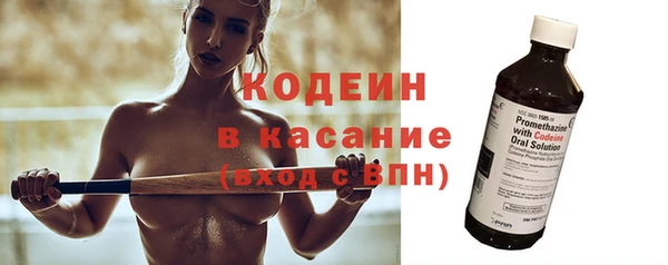 молекула духа Арсеньев