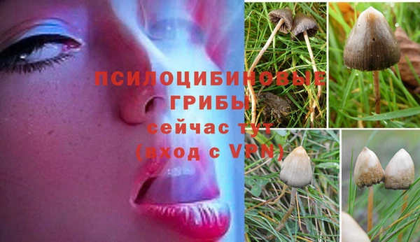 дистиллят марихуана Аркадак