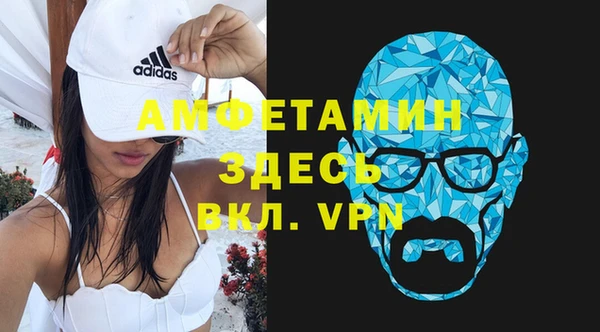 молекула духа Арсеньев