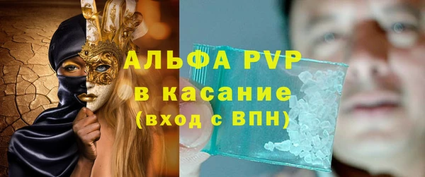 молекула духа Арсеньев