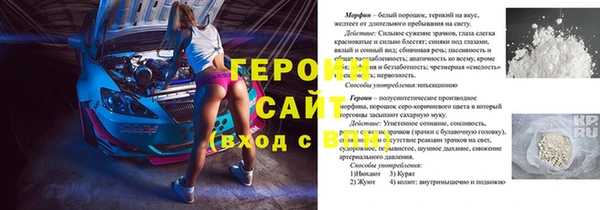 молекула духа Арсеньев