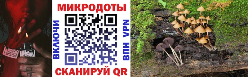 Галлюциногенные грибы Psilocybine cubensis  купить   Георгиевск 